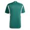 2022-2023 Northern Ireland Home Shirt