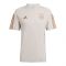 2022-2023 Germany Training Jersey (Alumina) (MUSIALA 14)