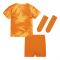 2022-2023 Holland Home Mini Kit (Sneijder 10)