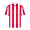 Sunderland 1999 Home Retro Shirt (Your Name)