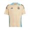 2024-2025 Argentina Training Jersey (Hazy Beige) (Your Name)