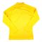 2023-2024 Borussia Dortmund Pre-Match LS Sweat Top (Yellow)