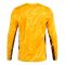 2024-2025 France Home LS Goalkeeper Shirt (Yellow)