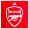 2024-2025 Arsenal DNA Graphic Tee (Red) (S.Cazorla 19)