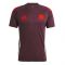 2024-2025 Bayern Munich Training Tee (Shadow Maroon) (Kane 9)