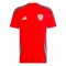 2024-2025 Wales Home Shirt (Your Name)