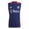 2024-2025 Man Utd Sleeveless Jersey (Night Indigo) (Hojlund 11)