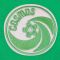 New York Cosmos Pele Green Retro Shirt with PELE 10