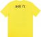 2010-11 Aek Athens Puma Fan Tee