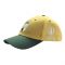 Rugby World Cup 2023 Australia Cap - Gold