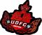 Giant Udonthani FC White Player Shirt