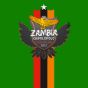 2012 Zambia Winners T-Shirt