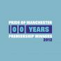 2012 Manchester City Premiership Winners T-Shirt (Blue)