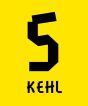 Sebastian Kehl Borussia Dortmund Hero T-Shirt (Yellow)