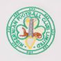 Hibernian 1960s Away Retro Football Shirt