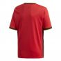 2020-2021 Belgium Home Adidas Football Shirt (Kids) (LUKAKU 9)