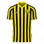 Al-Ittihad 2023-2024 Stripe Home Concept Football Kit (Libero) (Benzema 9)