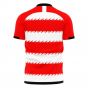 Doncaster 2023-2024 Home Concept Football Kit (Libero) - Womens