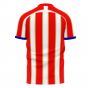 Liberia 2023-2024 Home Concept Football Kit (Libero) - Kids (Long Sleeve)