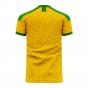 Mamelodi Sundowns 2020-2021 Home Concept Football Kit (Libero)