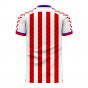 Paraguay 2020-2021 Home Concept Football Kit (Viper) - Adult Long Sleeve