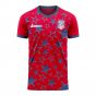 USA 2025-2026 Third Concept Football Kit (Libero) (PULISIC 10)