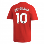 2024-2025 Arsenal DNA Graphic Tee (Red) (Bergkamp 10)
