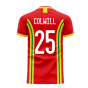 Wales 2024-2025 Home Concept Football Kit (Libero) (COLWILL 25)