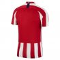 2019-2020 Atletico Madrid Vapor Match Home Shirt (FILIPE LUIS 3)