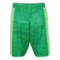 Arsenal 2021-2022 Home Goalkeeper Shorts (Solar Lime) - Kids