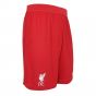 2022-2023 Liverpool Vapor Home Shorts (Red)