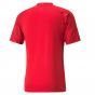 2022-2023 Serbia Pre-Match Jersey (Red)