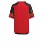 2022-2023 Belgium Home Mini Kit