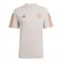 2022-2023 Germany Training Jersey (Alumina) (MUSIALA 14)