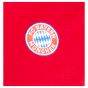 2024-2025 Bayern Munich DNA Polo Shirt (Red)