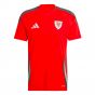 2024-2025 Wales Home Shirt (Your Name)