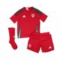 2024-2025 Wales Home Mini Kit (Your Name)