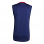 2024-2025 Man Utd Sleeveless Jersey (Night Indigo) (Hojlund 11)