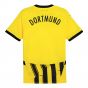 2024-2025 Borussia Dortmund Cup Shirt