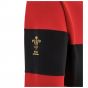 2024-2025 Wales Rugby Leisure Hoody Sweatshirt (Red)