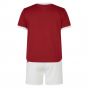 2024-2025 British and Irish Lions Home Rugby Mini Kit
