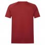 2025 British & Irish Lions Poly Polo Shirt (Red)