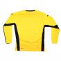 Hoffenheim 2008-09 Long Sleeve Goalkeeper Away Shirt (M) (Very Good)