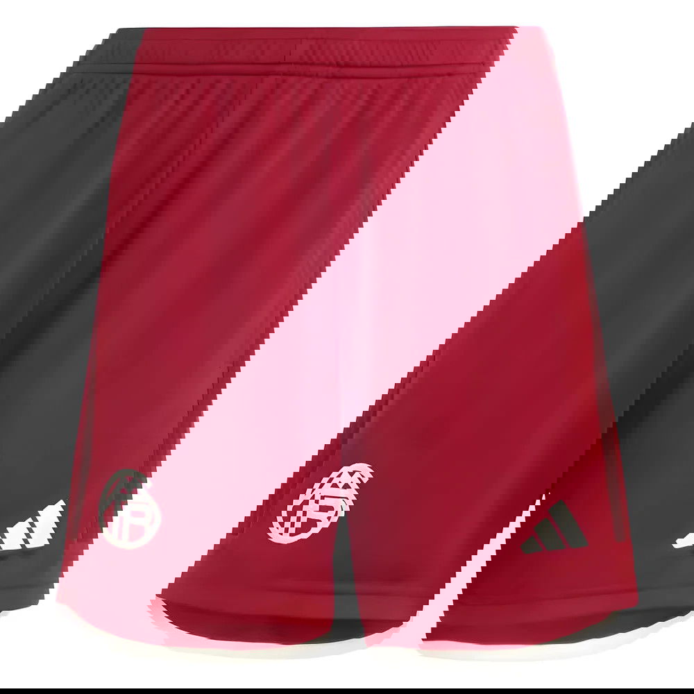 2023-2024 Bayern Munich Third Shorts (Red) - Kids
