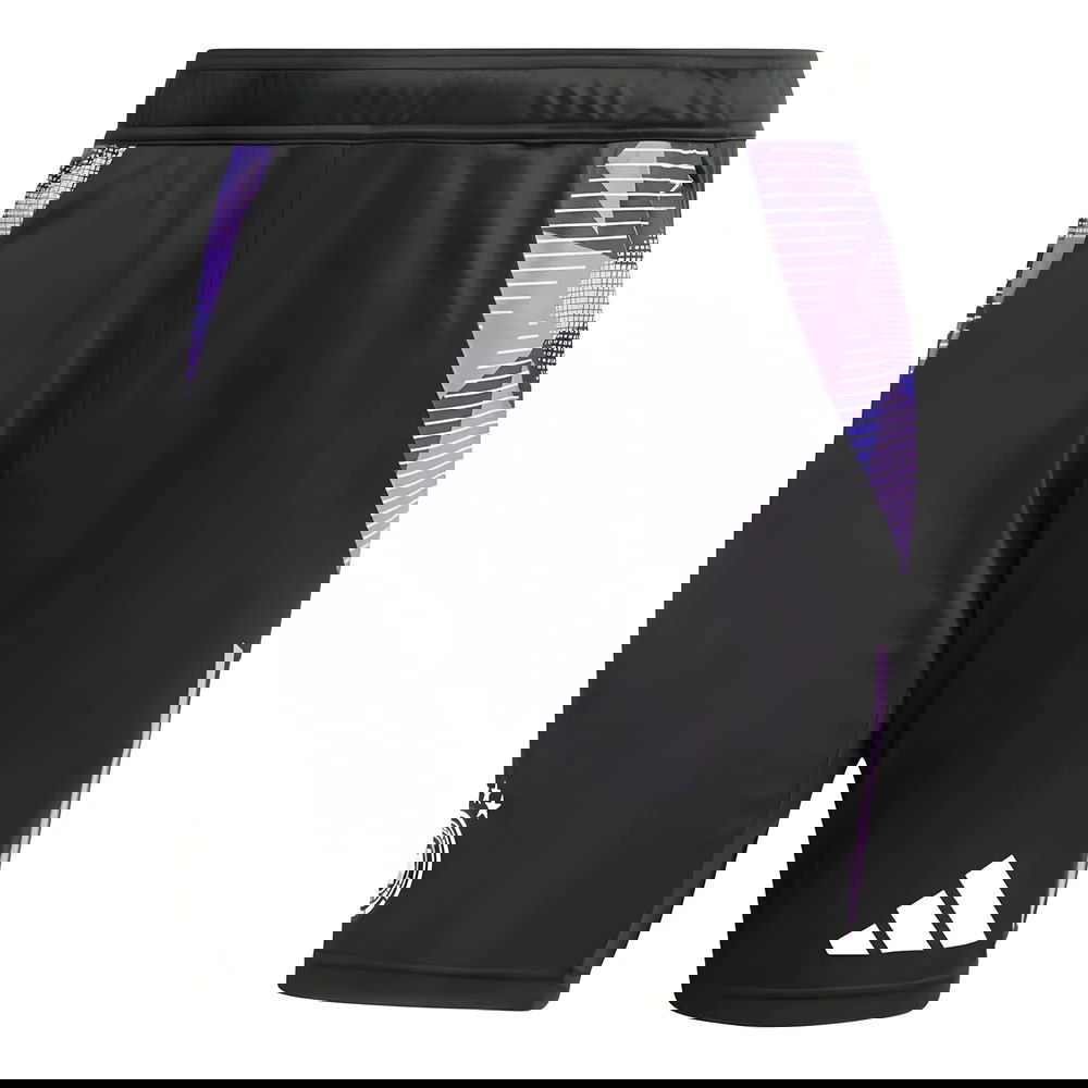 2024-2025 Germany Training Shorts (Black)