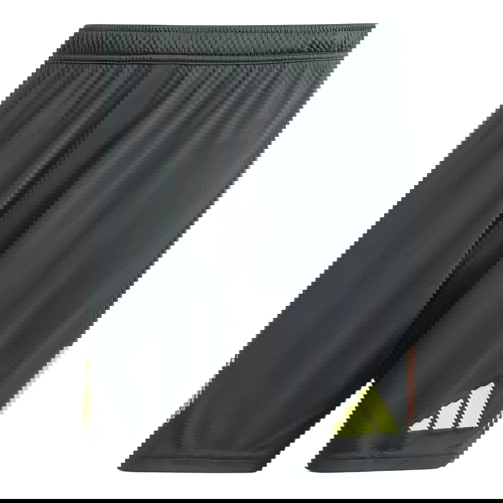 2024-2025 Germany Home Goalkeeper Shorts (Black)