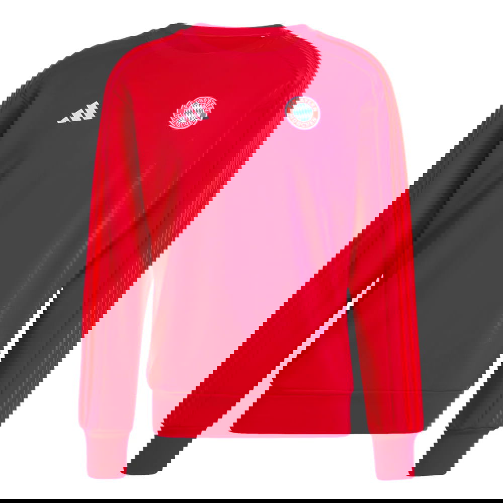 2024-2025 Bayern Munich DNA Sweat Top (Red)
