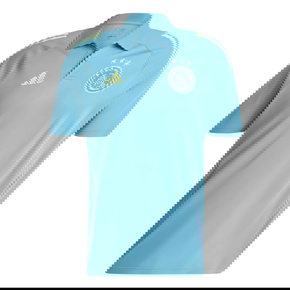 2024-2025 Ajax Polo Shirt (Tactile Steel)