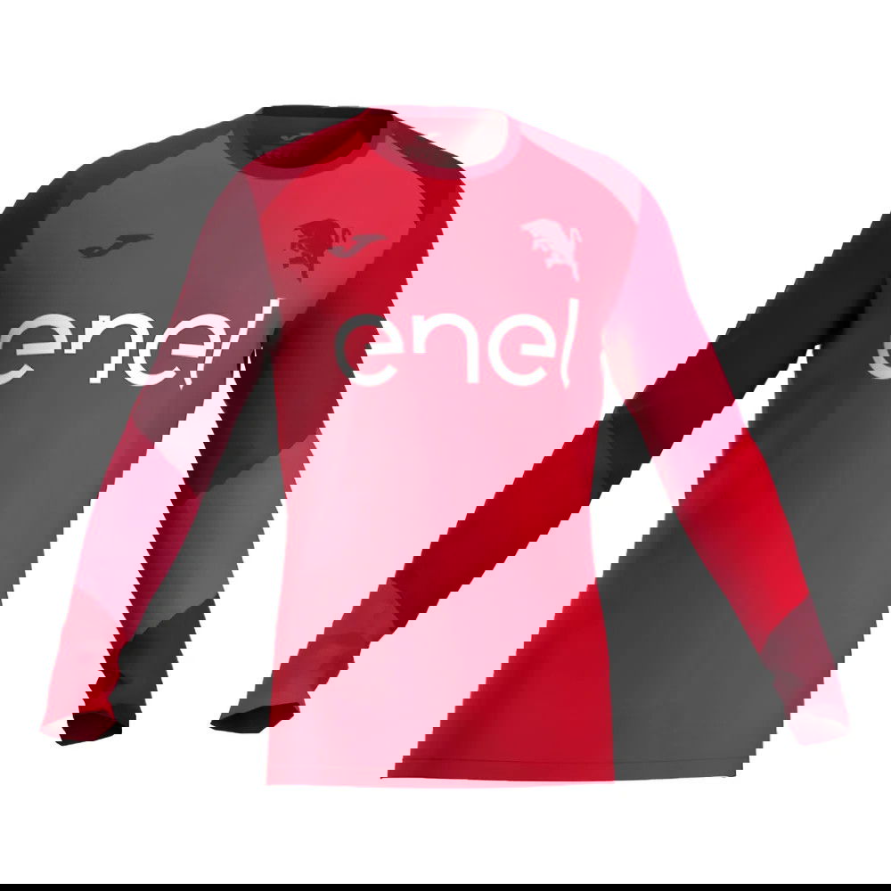 2024-2025 Torino Training Sweatshirt (Red)