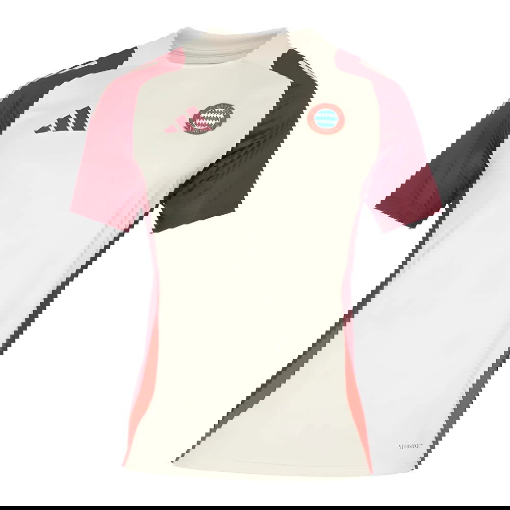 2024-2025 Bayern Munich EU Training Jersey (Linen)